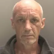 Staffordshire Bull Terrier Mauls Girl, Exposing Bone, as Bricks Thrown to Stop Attack