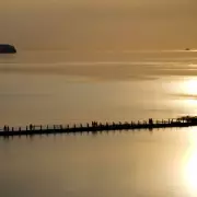 Steep Holm Island: Bristol Channel's Hidden Gem of History and Wildlife