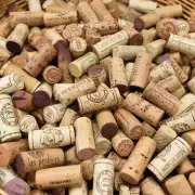 Stop Throwing Wine Corks Away: Garden Pest Repellent Tip for February
