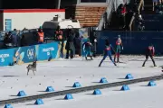 Stray Dog Joins Winter Olympics Ski Race, Steals Spotlight in Tesero