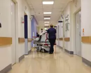 Surgeon Once Banned from Complex Operations Appointed to Queensland Safety Role