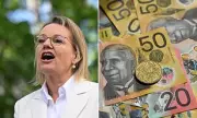 Sussan Ley's Exit Triggers Lavish Parliamentary Pension Payout