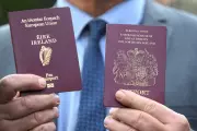 Tax Hurdles Derail Jeremy Irons' Irish Passport Ambitions Post-Brexit