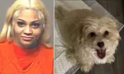 Teen Rapper Aspen Easterling Arrested for Alleged Puppy Abuse on Twitch Stream