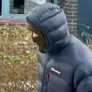 Teenager on E-Bike Admits Killing Grandmother While Speeding and Using Phone