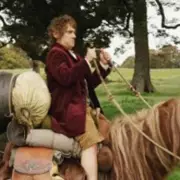 The Hobbit Farm Tragedy: 27 Animals Died in 'Death Trap' Conditions