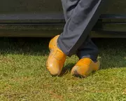 The Unbeatable Comfort of Clogs: A Fashion Staple's Enduring Appeal