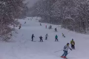 Third Australian Dies in Japan Ski Season as Heavy Snowfall Causes Multiple Fatalities