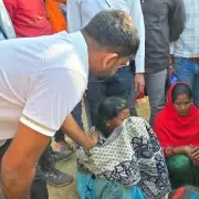 Tragic Elephant Rampage in Indian Village Claims Six Lives Including Infant