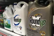 Trump Executive Order Shields Glyphosate Herbicide Amid Cancer Lawsuits