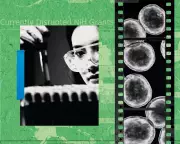 Trump's Science Cuts Trigger US Brain Drain, Threatening Biomedical Leadership