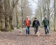 Tunbridge Wells Residents Mobilise to Protect Historic Commons from Developers