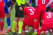 Turkish Footballer's CPR Saves Seagull Struck by Ball During Match
