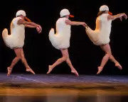 Tutu Review: Chicos Mambo's Ballet Parody Delivers Disco Swan Lake and Laughs