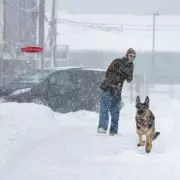 UK Braces for 'Beast from the East' Blizzard with Snow and -4C Temperatures