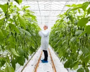 UK Food Producers Warn of 'Ticking Timebomb' as Energy Charges Soar