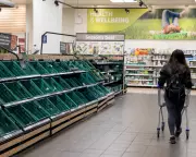 UK Food System a 'Tinderbox' at Risk of Riots from Single Shock, Experts Warn