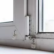 UK Homes Urged to Use Lemon Juice as Natural Black Mould Remover