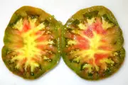 Unusual Tomato Varieties to Cultivate as Seed-Starting Season Approaches