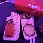 Vegan Passenger Served Mouldy Sandwich on Virgin Atlantic Flight