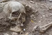 Viking Age Mass Grave Near Cambridge Reveals 'Extremely Tall' Man with Ancient Brain Surgery