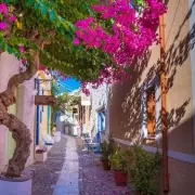 Volunteer on Greek Island Syros for Free Stay at Cat Sanctuary