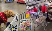 Walmart Faces Backlash Over Treatment of Disabled Shopper with Service Dog