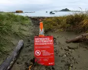 Wellington's Sewage Catastrophe: Millions of Litres Pollute Marine Reserve