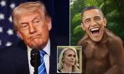 White House Blames 'Boomer' Aide for Racist Obama Ape Video Post