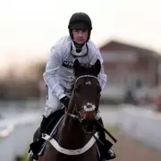 Willie Mullins Targets Constitution Hill in Southwell Flat Debut Showdown