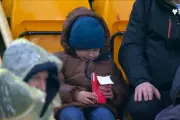 Wolves Fan's Viral Nugget Tears Turn to Joy with Club's Heartwarming Surprise