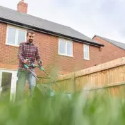 WWF Urges Gardeners to Create 'Hedgehog Highways' to Save Declining Species