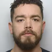 XL Bully Owner Jailed After Dogs Escaped and Killed Neighbour in Street