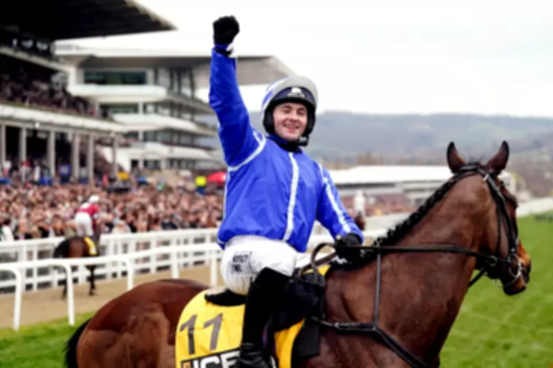 A Complete Guide to Cheltenham Festival Horseracing Terminology Explained