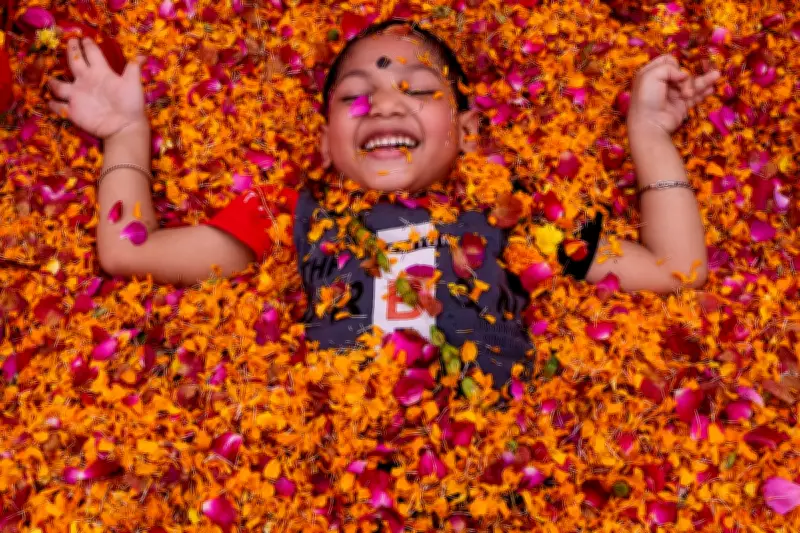 A Guide to Holi: The Hindu Festival of Colors and Renewal