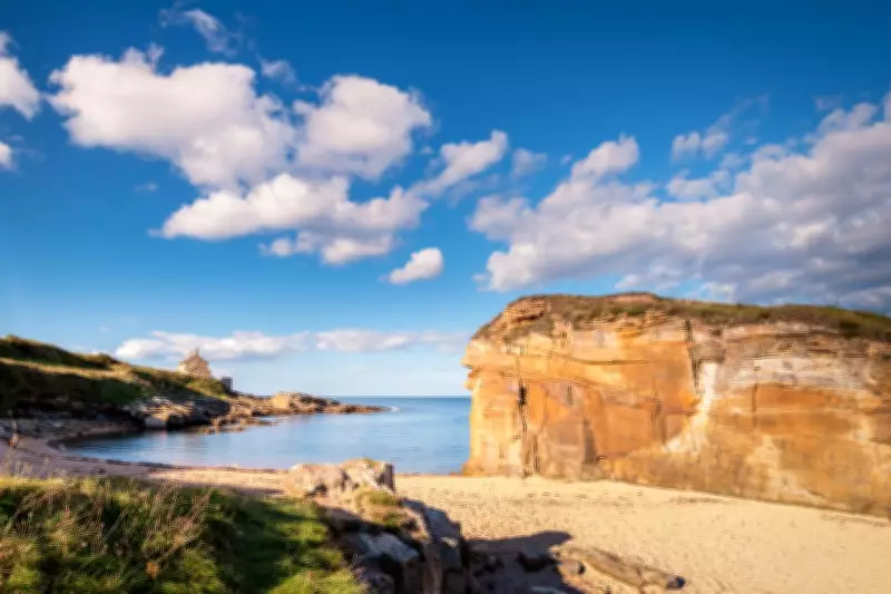 A Perfect Mother's Day: Northumberland Coast Walk and Historic Bookshop Visit