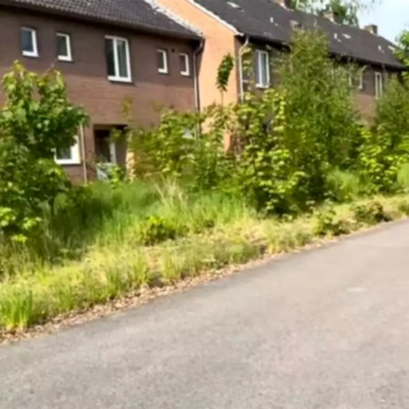 Abandoned British Military Town in Germany Reclaimed by Nature After 13 Years