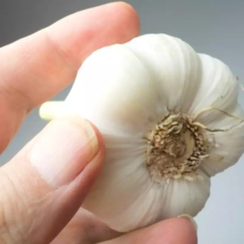 AI Chatbots Prescribe Dangerous Medical Advice Including Rectal Garlic Insertion