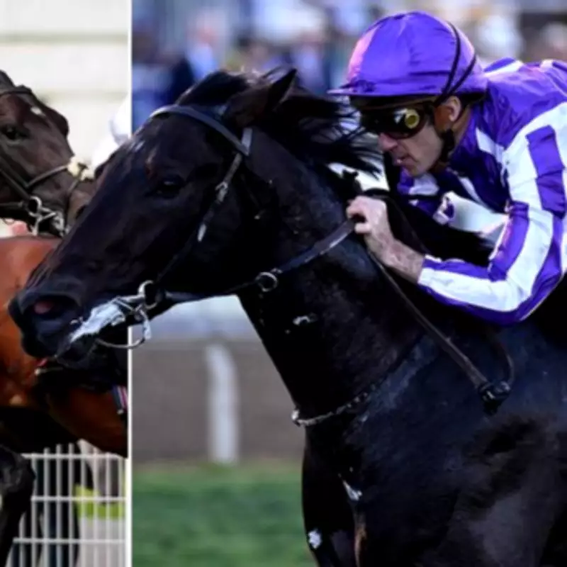 Aidan O'Brien Blames Computer Error for 2,000 Guineas Scratchings