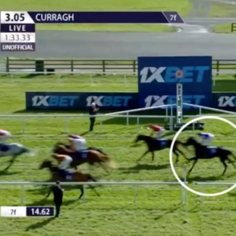 Aidan O'Brien's Albert Einstein Guineas Hopes Dashed After Curragh Defeat