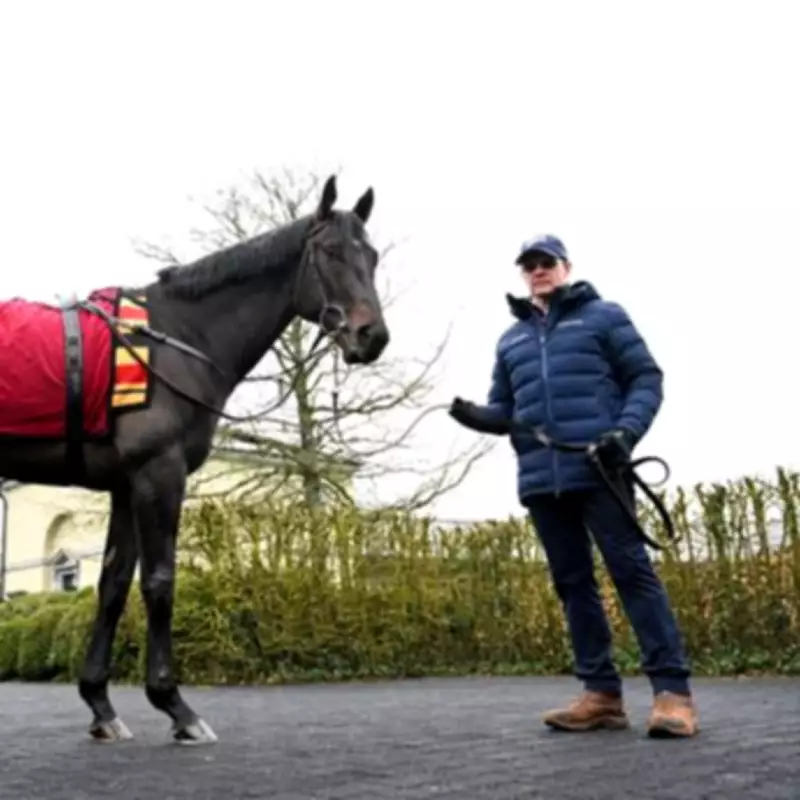 Aidan O'Brien's Guineas Favourite Einstein Withdrawn Due to Injury