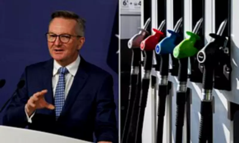 Albanese Announces Emergency Economic Shield Amid Global Uncertainty