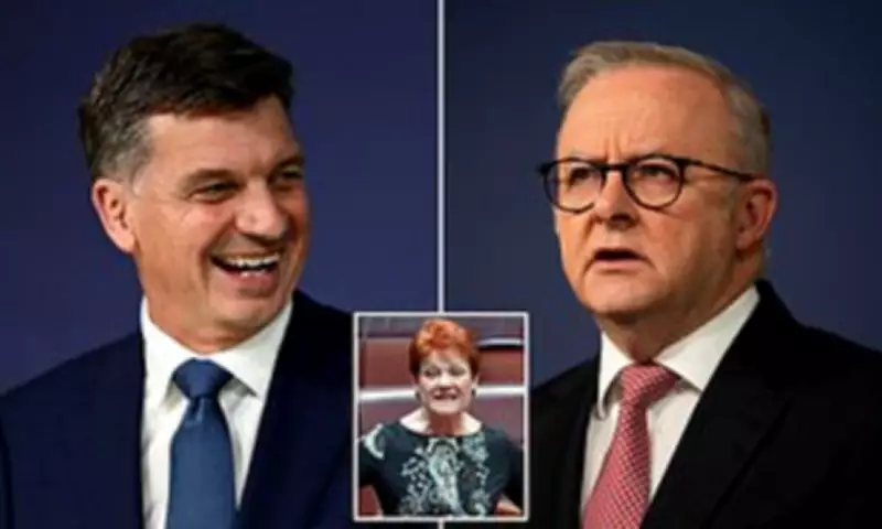 Albanese Approval Plummets in New Poll as Coalition Steadies Under Taylor