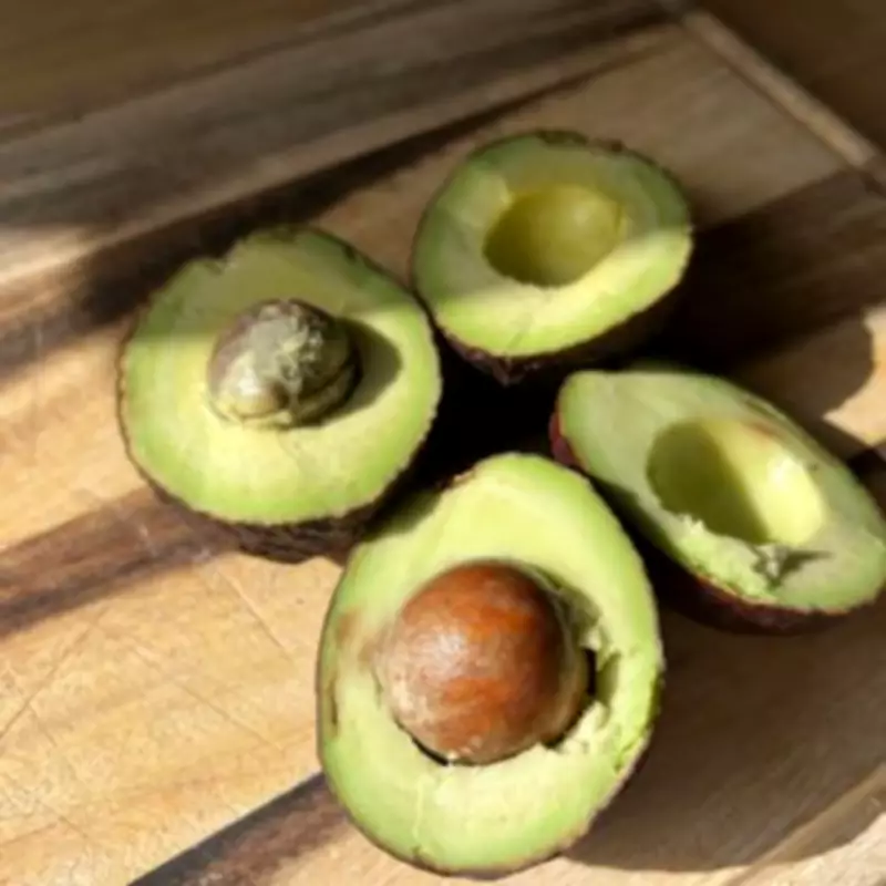 Aldi vs Lidl Avocado Showdown: One Remained Rock-Hard for Over a Week