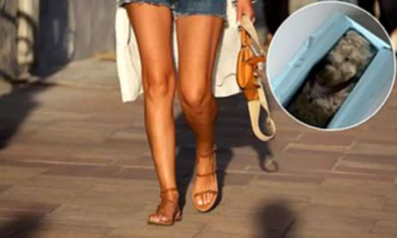 Alias Mae's 'Fella' Sandals Spark Fashion Frenzy and Online Controversy