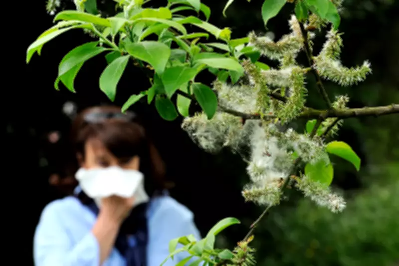 Allergy Season Arrives Early Across US with Pollen Already Triggering Symptoms