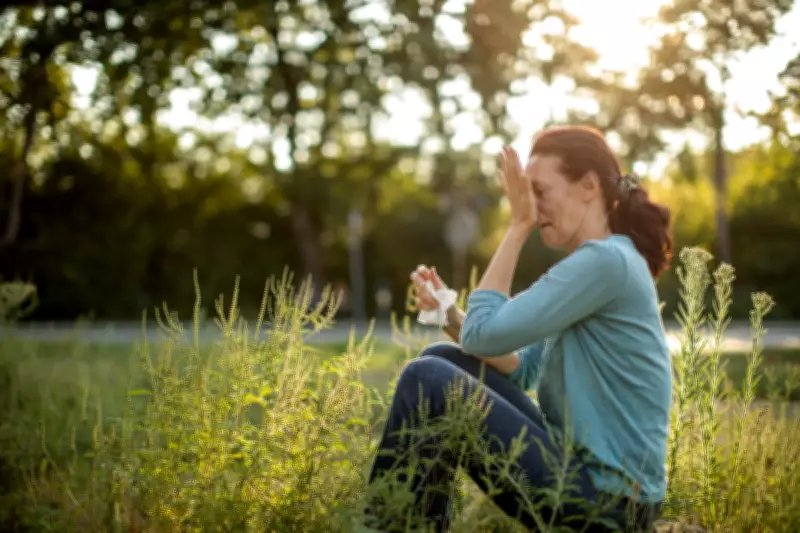 Allergy Season Arrives: Expert Tips to Manage Symptoms and Navigate Pollen Surge