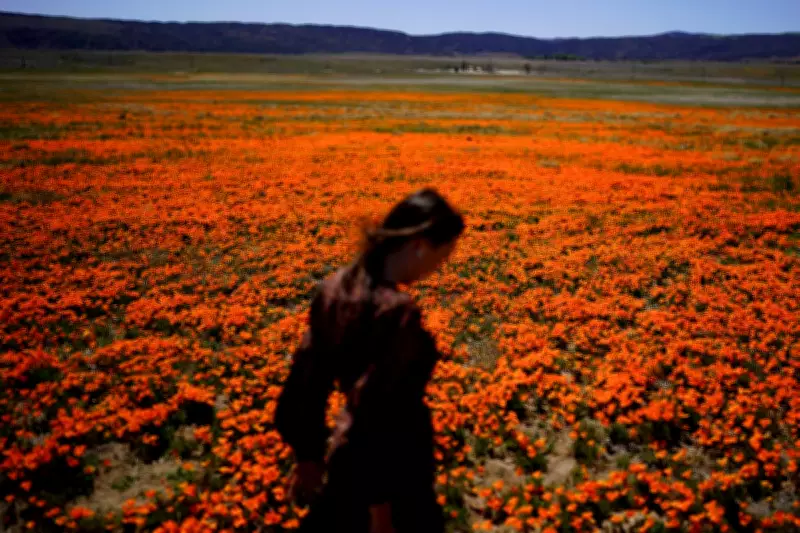 Allergy Season Intensifies: Expert Tips to Combat Pollen and Climate Change