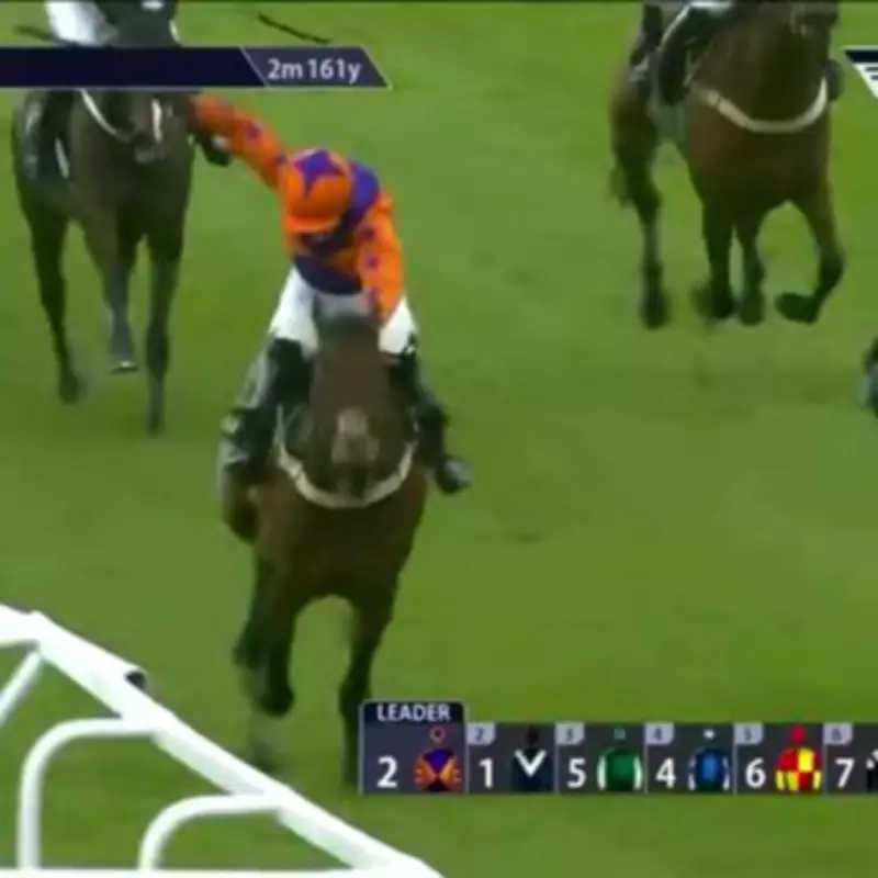 Amateur Jockey Receives 20-Day Ban and Horse Disqualified for Whip Violation