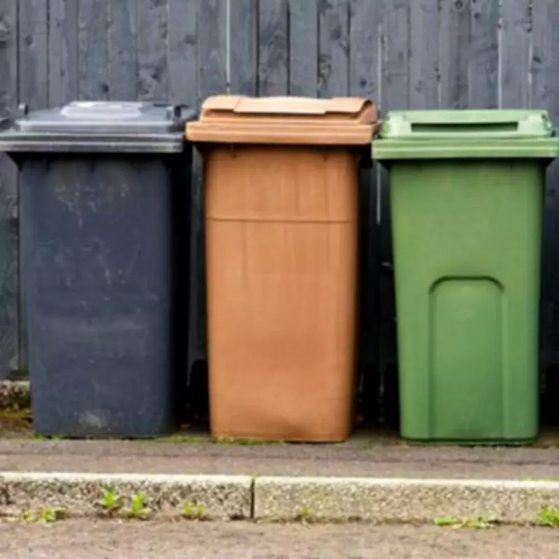 American TikToker Mocks British 'Wheelie Bin' Term, Sparking Transatlantic Debate